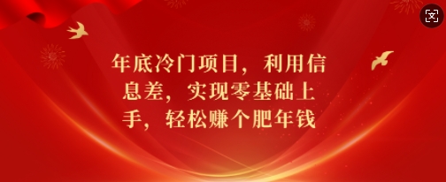 年底冷门项目，利用信息差，实现零基础上手，轻松赚个肥年钱【揭秘】-俗人圈网创