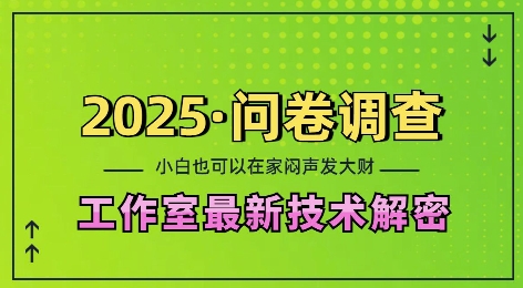 2025问卷调查最新工作室技术解密：一个人在家也可以闷声发大财，小白一天2张，可矩阵放大【揭秘】-俗人圈网创