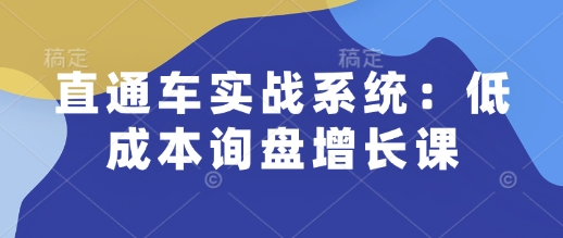 直通车实战系统：低成本询盘增长课，让个人通过技能实现升职加薪，让企业低成本获客，订单源源不断-俗人圈网创