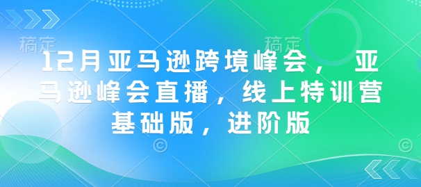 12月亚马逊跨境峰会, 亚马逊峰会直播,线上特训营基础版,进阶版-俗人圈网创