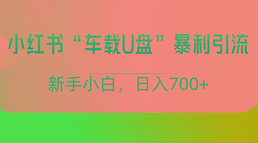 小红书“车载U盘”项目,暴利引流,新手小白轻松日入700+-俗人圈网创