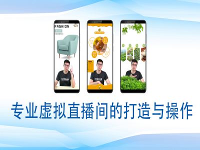 个人虚拟直播间的搭建与操作，专业虚拟直播间的打造与操作-俗人圈网创