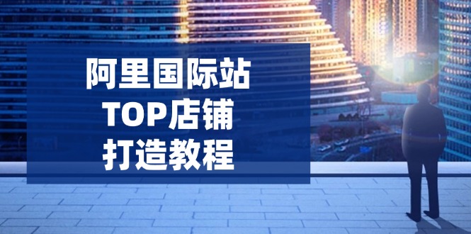 阿里国际站TOP店铺打造教程:涵盖平台到高阶,解决运营难题,提升询盘-俗人圈网创
