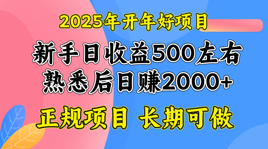 2025开年好项目,单号日收益2000左右-俗人圈网创
