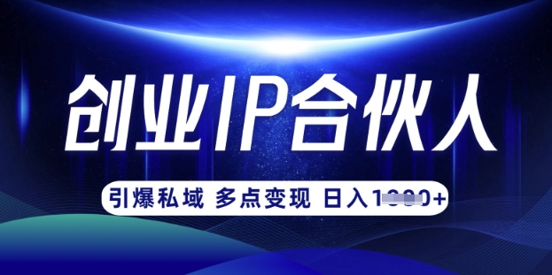 云帆·创业ip合伙人打造3.0,从0到1教你做网创,实现月入过W-俗人圈网创