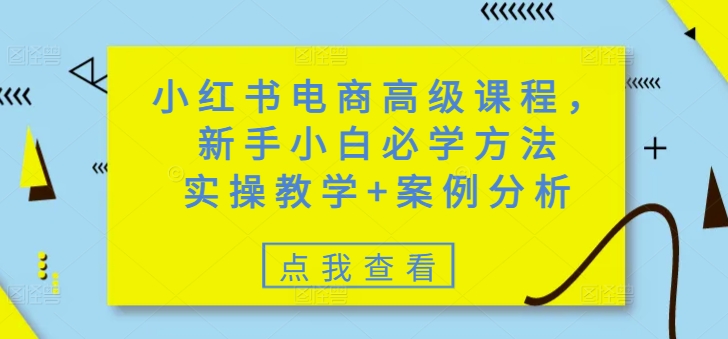 小红书电商高级课程,新手小白必学方法,实操教学+案例分析-俗人圈网创