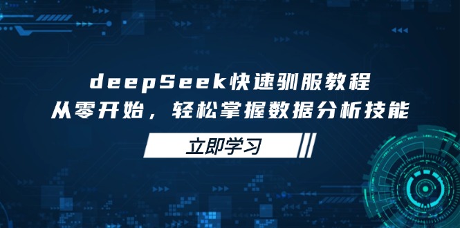 deepSeek快速驯服教程，从零开始，轻松掌握数据分析技能-俗人圈网创