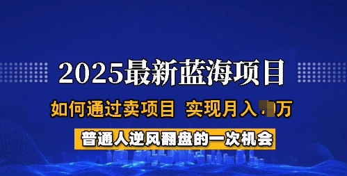 2025蓝海项目,普通人如何通过卖项目,实现月入过W,全过程【揭秘】-俗人圈网创