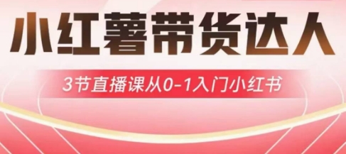 小红薯达人带货启航计划,3节直播课从0-1入门小红书-俗人圈网创