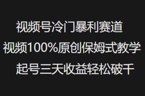 视频号冷门暴利赛道视频100%原创保姆式教学起号三天收益轻松破千-俗人圈网创