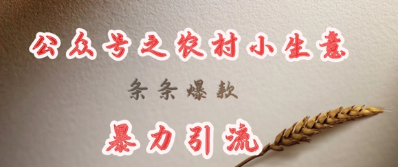 deepseek写农村小项目,条条爆款,暴力引流-俗人圈网创