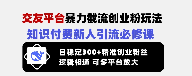 交友平台暴力截流创业粉玩法,知识付费新人引流必修课,日稳定300+精准创业粉丝,逻辑相通可多平台放大-俗人圈网创