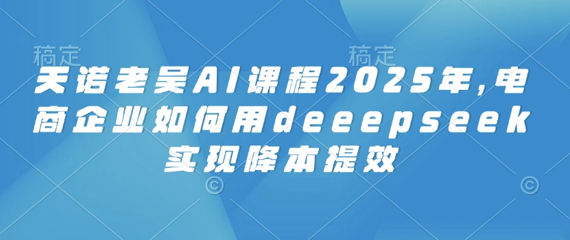 天诺老吴AI课程2025年,电商企业如何用deeepseek实现降本提效-俗人圈网创