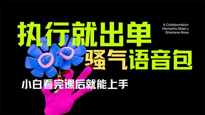 爆火全网的开车导航骚气语音包,只要执行就出单,小白看完课程就能实操…-俗人圈网创