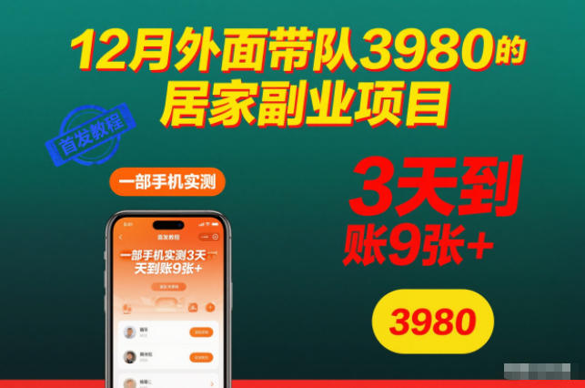 12月外面带队3980的居家副业项目,一部手机实测3天到账9张+,首发教程【揭秘】-俗人圈网创