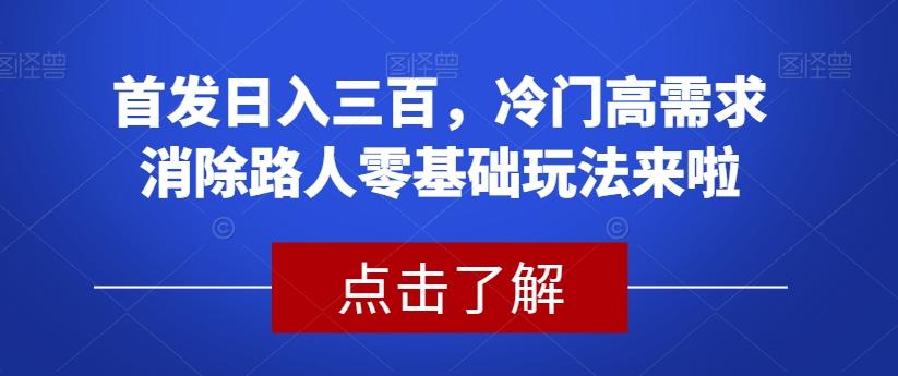 首发日入三百,冷门高需求消除路人零基础玩法来啦【揭秘】-俗人圈网创