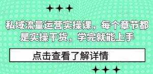 私域流量运营实操课,每个章节都是实操干货,学完就能上手-俗人圈网创