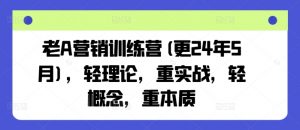 老A营销训练营(更24年12月)，轻理论，重实战，轻概念，重本质-俗人圈网创