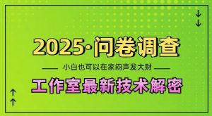2025问卷调查最新工作室技术解密：一个人在家也可以闷声发大财，小白一天2张，可矩阵放大【揭秘】-俗人圈网创