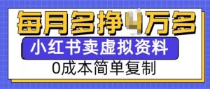 小红书虚拟资料项目，0成本简单复制，每个月多挣1W【揭秘】-俗人圈网创