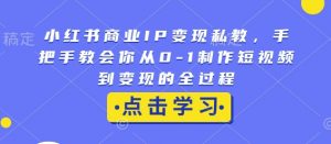 小红书商业IP变现私教,手把手教会你从0-1制作短视频到变现的全过程-俗人圈网创