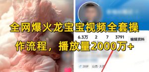 全网爆火龙宝宝视频全套操作流程,播放量2000万+-俗人圈网创