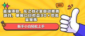 蓝海项目，龙之谷2全自动搬砖游戏，单窗口日收益30＋可批量矩阵-俗人圈网创