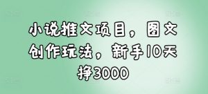 小说推文项目，图文创作玩法，新手10天挣3000-俗人圈网创