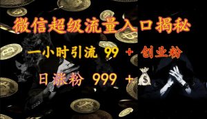 微信超级流量入口揭秘：一小时引流 99 + 创业粉，日涨粉 999 +-俗人圈网创