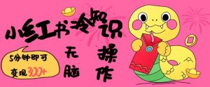 小红书冷知识账号,无脑复制粘贴,5分钟即可变现3张-俗人圈网创