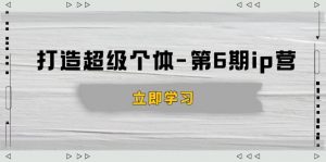 打造 超级个体-第6期ip营：商业认知,产品设计,成交演练,解决知识变现难题-俗人圈网创