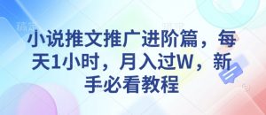 小说推文推广进阶篇，每天1小时，月入过W，新手必看教程-俗人圈网创
