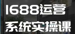 1688高阶运营系统实操课，快速掌握1688店铺运营的核心玩法-俗人圈网创