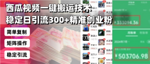 西瓜视频一键搬运技术，稳定日引流300+精准创业粉，简单可复制给团队，...-俗人圈网创