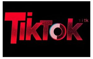 TikTok ads投流秘籍,涵盖tiktok整体投放思路,教你搭建测试计划-俗人圈网创