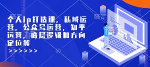 个人ip打造课,私域运营,公众号运营,知乎运营,底层逻辑和方向定位等-俗人圈网创