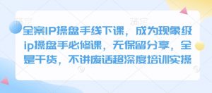 全案IP操盘手线下课,成为现象级ip操盘手必修课,无保留分享,全是干货,不讲废话超深度培训实操-俗人圈网创