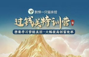 剽悍一只猫-过钱关特训营，学习营销真经 大幅度提高创富效率-俗人圈网创