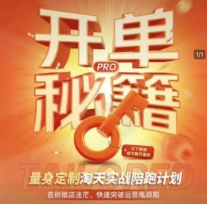 淘宝开单秘籍PRO,量身定制淘天实战陪跑计划,告别做店迷茫、快速突破运营瓶颈期-俗人圈网创
