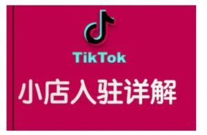 TikTok跨境小店运营全攻略，帮助你独立运营TK跨境小店的能力，实现销量增长-俗人圈网创