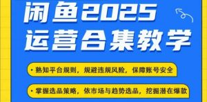 2025闲鱼电商运营全集，2025最新咸鱼玩法-俗人圈网创