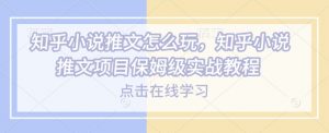 知乎小说推文怎么玩,知乎小说推文项目保姆级实战教程-俗人圈网创