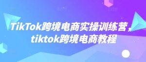 TikTok跨境电商实操训练营，tiktok跨境电商教程-俗人圈网创