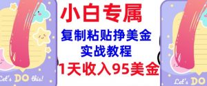 复制粘贴挣美金,0门槛,1天收入95美刀,3分钟学会,内部教程(首次公开)-俗人圈网创