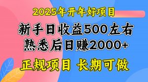 2025开年好项目,单号日收益2000左右-俗人圈网创