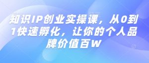 知识IP创业实操课,从0到1快速孵化,让你的个人品牌价值百W-俗人圈网创