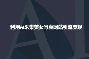 利用AI采集美女写真网站引流变现,引流嘎嘎的-俗人圈网创