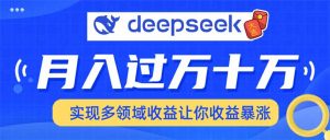 用DeepSeek席卷各大平台,快速上手实现多领域,让你收入猛增-俗人圈网创