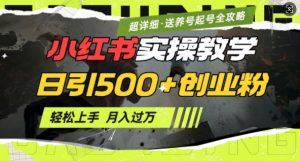 2月小红书最新日引500+创业粉实操教学【超详细】小白轻松上手,月入1W+,附小红书养号起号SOP-俗人圈网创