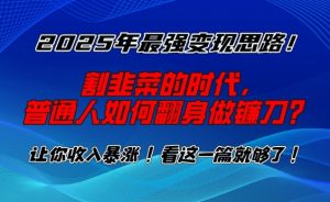 2025年最强变现思路，割韭菜的时代， 普通人如何翻身做镰刀？【揭秘】-俗人圈网创
